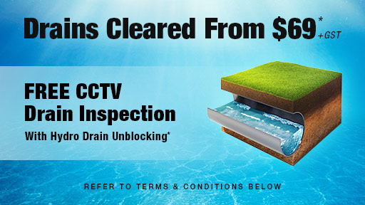 Drain Clearing Seatoun